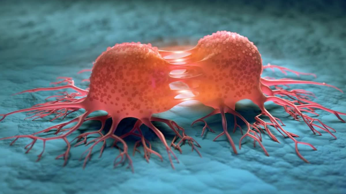 कैंसर के इलाज के दौरान या बाद मीठा पूरी तरह से बंद कर देना चाहिए? जानिए क्या शुगर लेने से Cancer बढ़ता है?